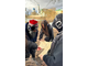 Экскурсия с иммерсивным аудиоспектаклем &quot;Один день в Тихоновой слободе&quot;