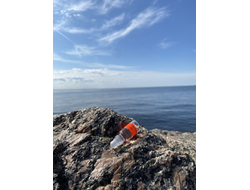 Масло НОТА: ЖЕНСКОЕ ПРИСУТСТВИЕ, 3.5 мл