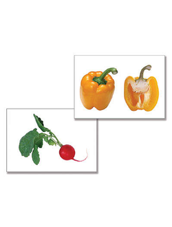 Дидактическое пособие "Овощи" (24 карт., А4, ламинир.)