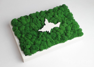 ЖИВАЯ ЭКО-КАРТИНА 1032