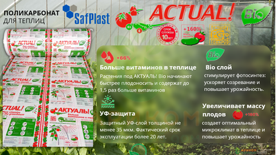 Актуаль (Сафпласт, Казань), 8 мм, прозрачный,  2,1*6 м Пермь Ариком