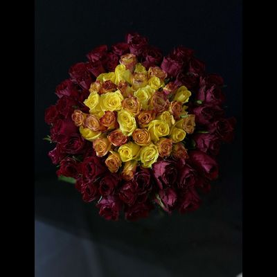 Роза Кения 101 шт