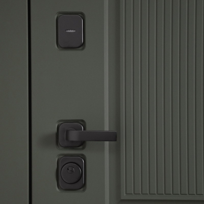 Стальная дверь   Scandi