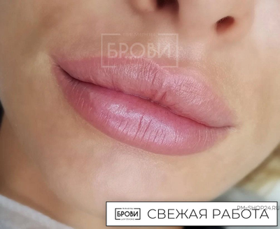 Губы. Пыльная роза