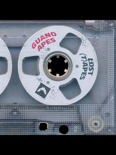 Guano Apes - Lost (T)Apes LP