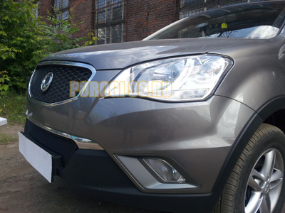 Защита радиатора Ssang Yong Actyon (C200) 2010-2013 black верх