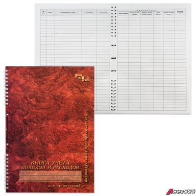 Книга учета доходов и расходов, 50 л., картон, на гребне, А4 (204×290 мм). 130171