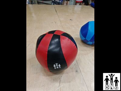 Медицинбол 5кг из тента. Диаметр 25см DNN