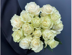 Роза Эквадор белая мондиаль 60 см. 15 шт