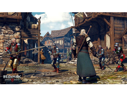 ИграThe Witcher 3: Wild Hunt (PS5)