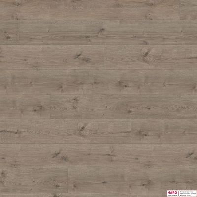 Декор ламината Haro Tritty 100 Gran Via Дуб Портлэнд Серый 533139 фронт