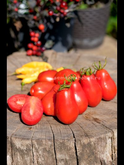 Томат Джуаджито (Guajito), 7 шт