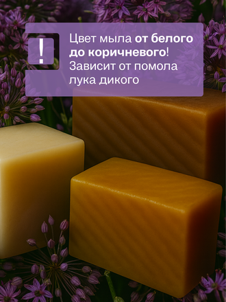 Живой шампунь дикий лук 90 гр.