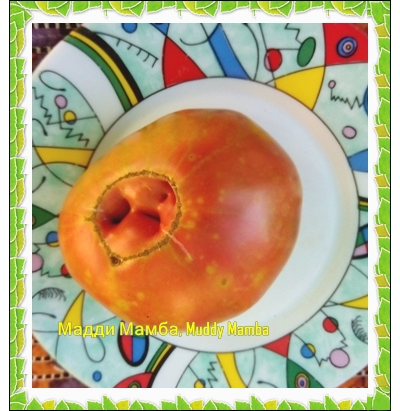 Томат Мадди Мамба (Muddy Mamba)