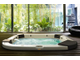 Спа бассейн Jacuzzi Delos 215х190