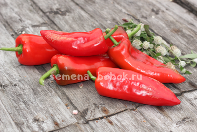 Перец сладкий Sprit Paprica (Сприт Паприка), 10 шт.