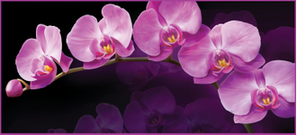 Фотообои VIP VOSTORG Зеркальная орхидея 294*134 (6 листов)