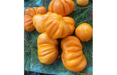 Томат Желтые торбочки (усл)