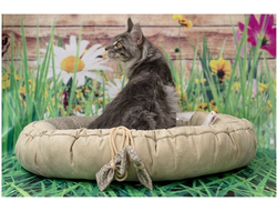 Матрас-лежак  трансформер  «Кокетка3»