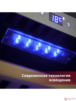 Винный шкаф Cold Vine C38-KSF2