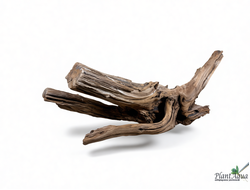 SwetAqua Chinese Sunken EXCLUSIVE 8034 (540х250х250 мм) - Натуральная коряга "Китайская затонувшая" EXCLUSIVE