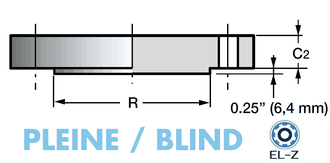Заглушки фланцевые ASME B16.48 (Pleine / Blind)