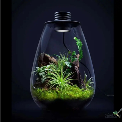 Биобутылка Biolark LED SD175 (175мм х 230мм)