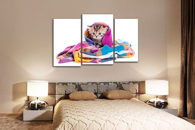 Модульная картина "Котенок в шали"