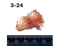 Ванадинит натуральный (щетка) №3-24: 35*29*13мм
