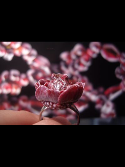 Парадное кольцо &quot;Дикий сербарин и лягушка&quot;