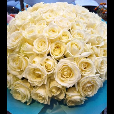 Роза Россия 50 см 101 шт