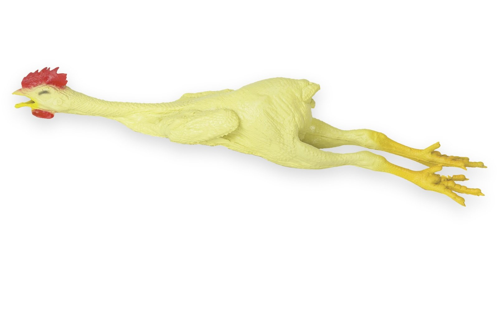 Сон ощипанные куры. Общипанный попугай. Общипанная тушка курицы. Общипанный петух. Ощипанная тушка курицы.