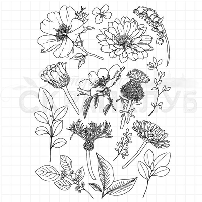 ФП набор штампов "Цветущий сад"