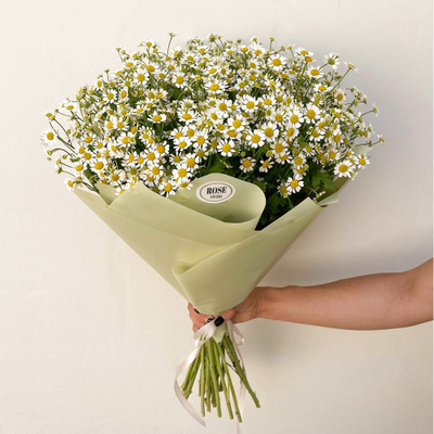 25 кустовых ромашек