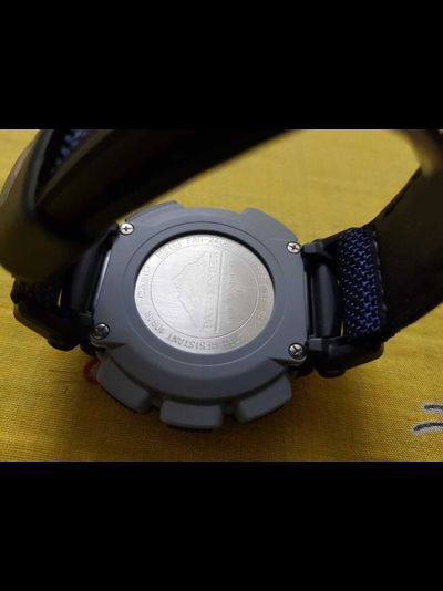 Часы Casio Pro Trek PAG-240B-2