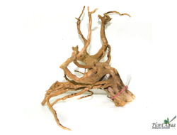 Коряга ПУСТЫННАЯ XXL (30-45 см)