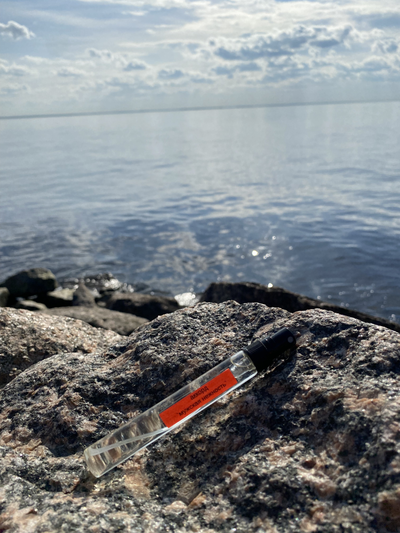 Духи АККОРД: МУЖСКАЯ НЕЖНОСТЬ, 10 мл