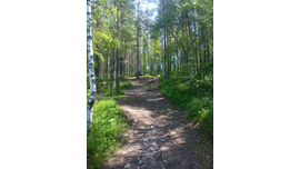 Спасибо за фото Сергею из Питера.Огромное спасибо за фото.