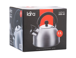 Чайник LARA LR00-40 зеркальный 2.5л