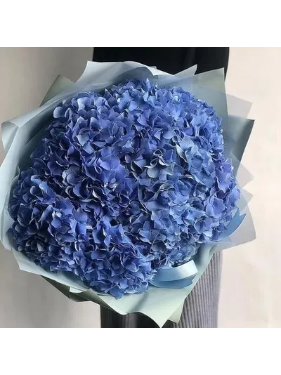 9 розовых гортензий