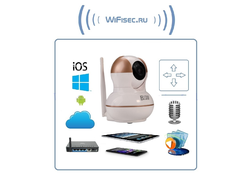 BW. Видеоняня /WiFi-LAN видеокамера моторизированная с DVR , HD  (Yoosee)