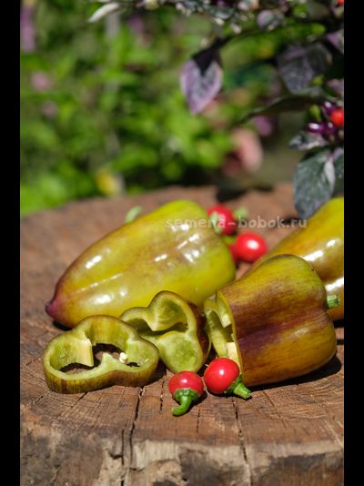 Перец сладкий Синильга, 10 шт