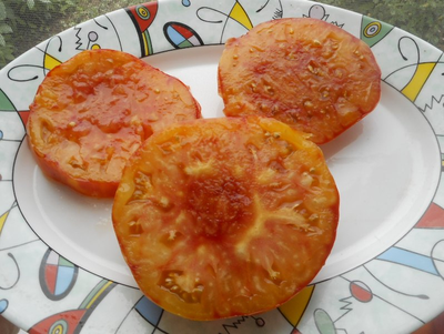 Томат Мамонт немецкий золотой (Mammoth German Gold)