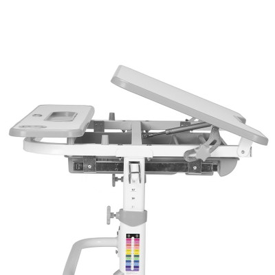 Детская парта Freesia Grey CUBBY купить в Воронеже