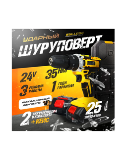 Дрель-шуруповерт аккумуляторная Bulldog BPT-24FS