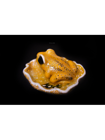 Мини-брошь "Притягивающая солнечный свет", украшение с лягушкой