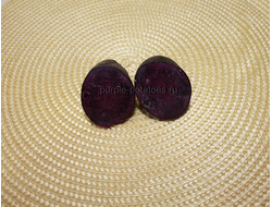 Картофель Чёрный