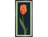 Тюльпан нв-28, МП Студия (набор для вышивания нитками) vkn