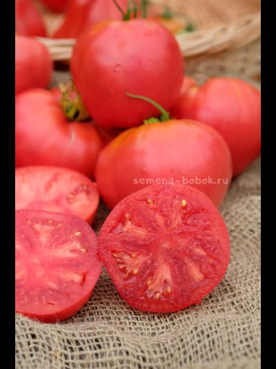 Томат Минусинский Низкий, 10 шт