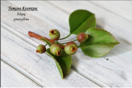 Работа Натальи Желонкиной. Использован молд "Дикие яблочки"